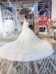 -韩国天使嫁衣婚纱礼服馆(上海旗舰店)