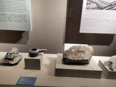 -西安大唐西市博物馆