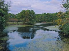 -上海海湾国家森林公园