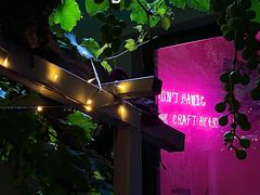 -ZING鲸鱼啤酒(葡萄院店)