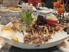 -百草滩羊清水涮羊肉·清真·宁夏盐池滩羊(莲花桥店)