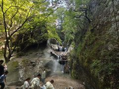 -牛背梁国家森林公园