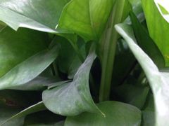 -横店电影城(李沧店)