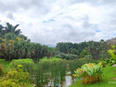 -中国科学院西双版纳热带植物园