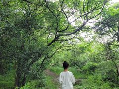 -虞山风景区