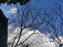 -贵阳市花溪国家城市湿地公园