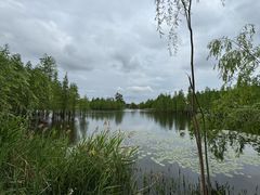 -白鹭湾湿地公园