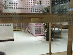 -藏猫猫咖啡主题馆(中央大道店)