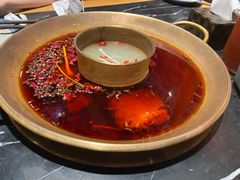-杨家火锅(国美店)