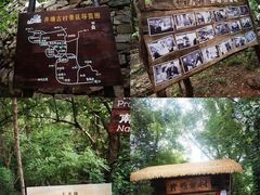 -井塘古村