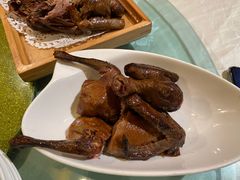 -食家鸽园
