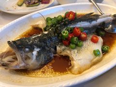 石锅鲈鱼-湛江菜.江南首席(昆山店)