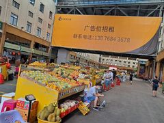-三亚新鸿港水果一级批发市场