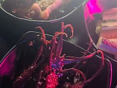 -MOSSO·Liveshow(M3香港广场店)