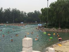 iphone_upload_pic-柳浪游泳场