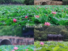 -西溪国家湿地公园