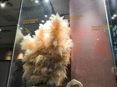 -蜀九香火锅(九眼桥店)