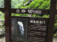 -武隆天坑地缝国家地质公园