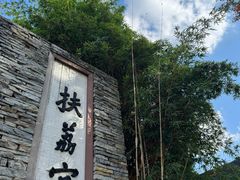 -昆明植物园