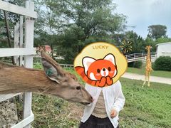 -金石滩蓝莓谷庄园