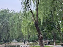 -丰台科技园生态主题公园