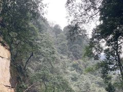 -峨眉山风景名胜区