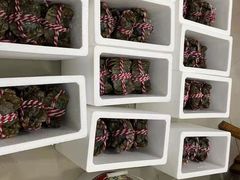 -祥鹤龙虾螃蟹
