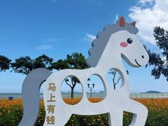 -野狸岛
