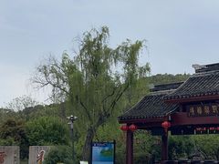 -香雪海