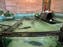-楚鱼王·河鲜·湖北菜(华农店)