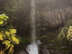 -龙苍沟森林公园
