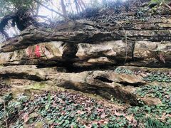 -镇江市南山风景名胜区竹林景区