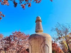 -北宫国家森林公园