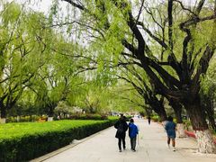 -青城公园