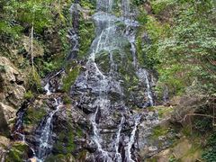 -江西阳明山国家森林公园