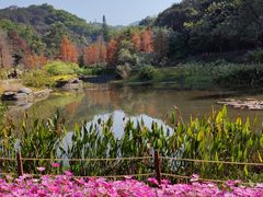 -云溪植物园