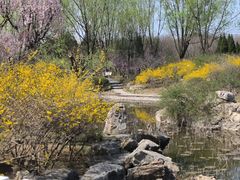 -石家庄市植物园