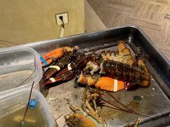-雍和会海鲜姿造自助(湖东路店)