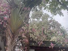 -深圳国际园林花卉博览园