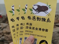 -野狸岛