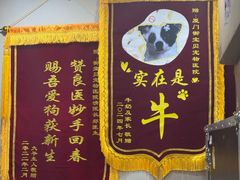 -御宝贝24h宠物医院·转诊中心·CT核磁血透中心(厦门总院)