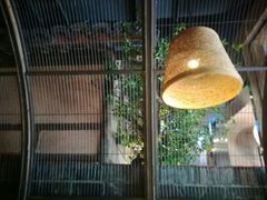 大堂-哥老官重庆美蛙鱼头(西湖银泰十一哥店)
