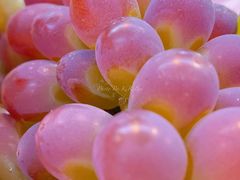 -世纪联华超市(外海店)