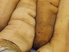 -达濠炒饭·潮汕味道