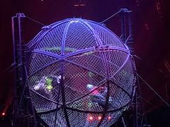 -广州长隆国际大马戏