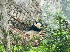 -泉州海丝野生动物世界