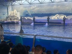 -秦皇岛乐岛海洋王国