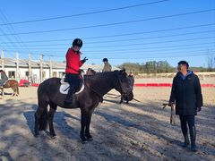 -北京群众马术培训基地