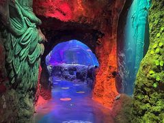 -沈阳海洋探索中心