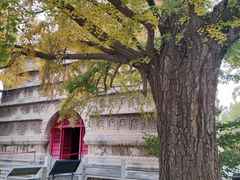 -北京石刻艺术博物馆(五塔寺)